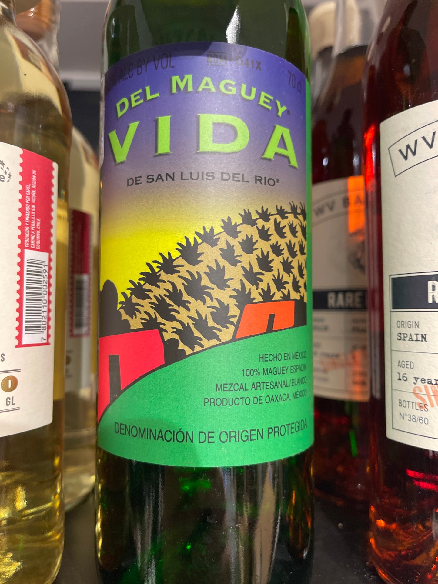 Vida del maguey MEZCAL