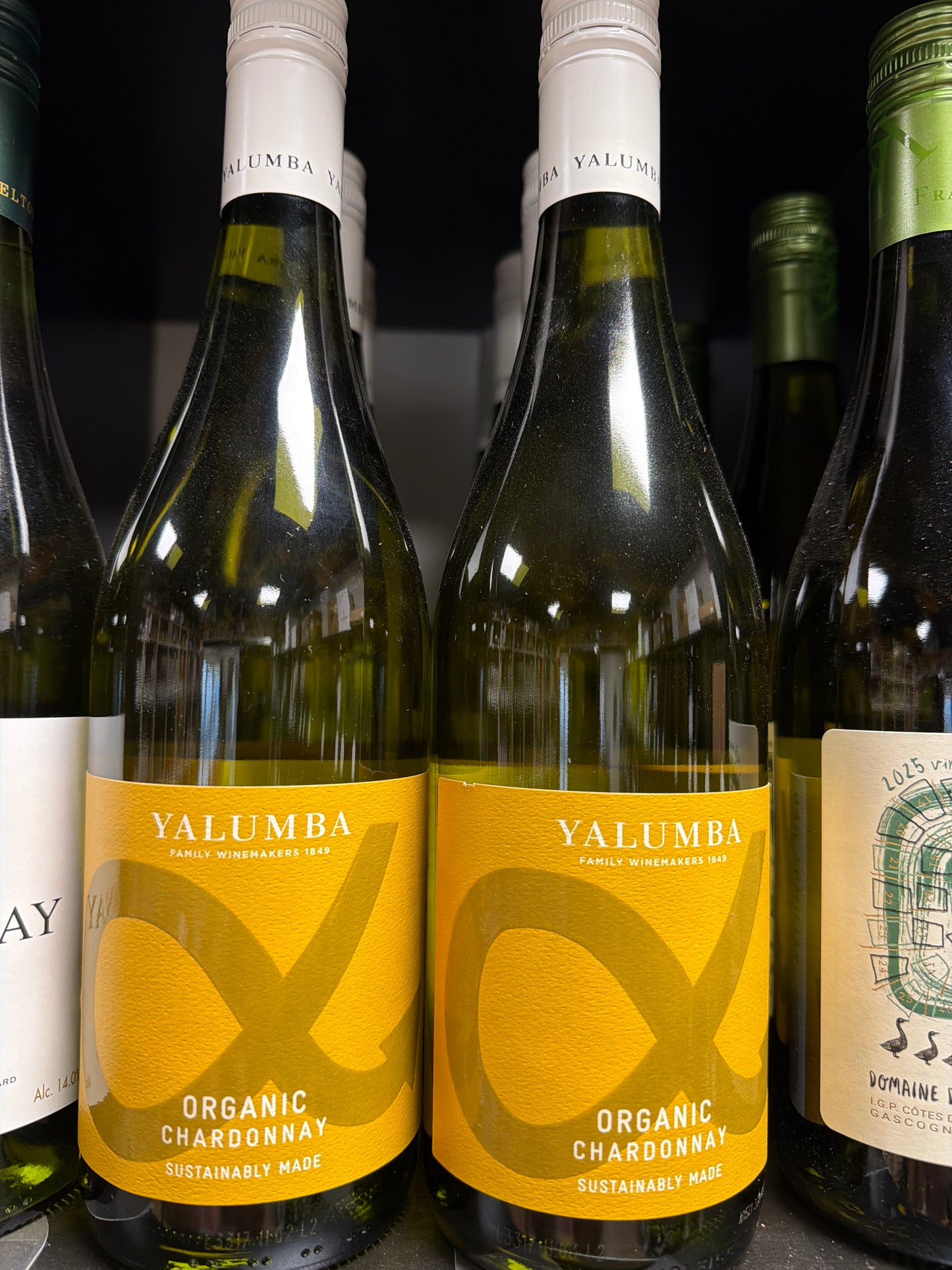 Yalumba Organic Chardonnay 2022 Øko