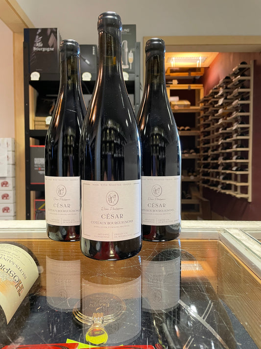 Rosa Philippon CESAR