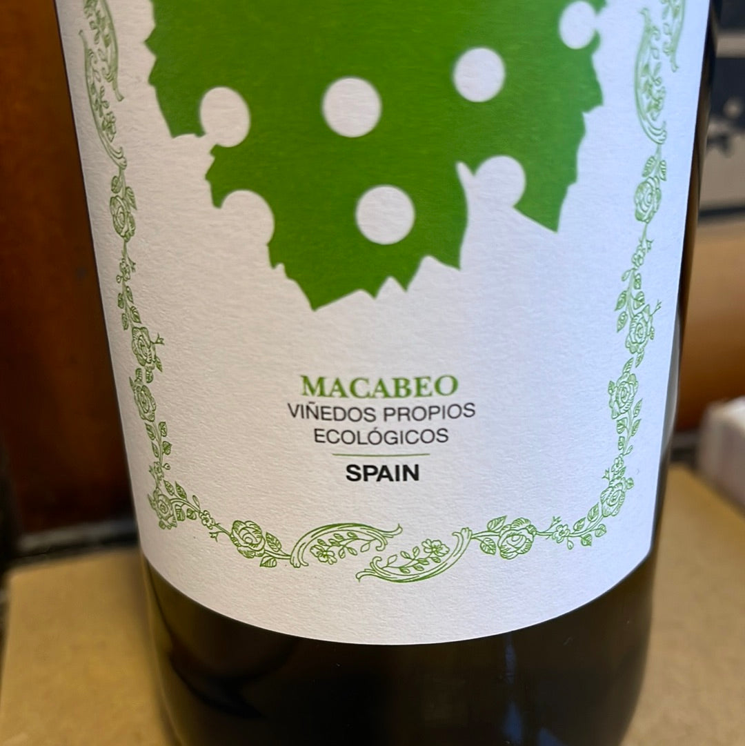 La Derrubiade Macabeo Hvidvin