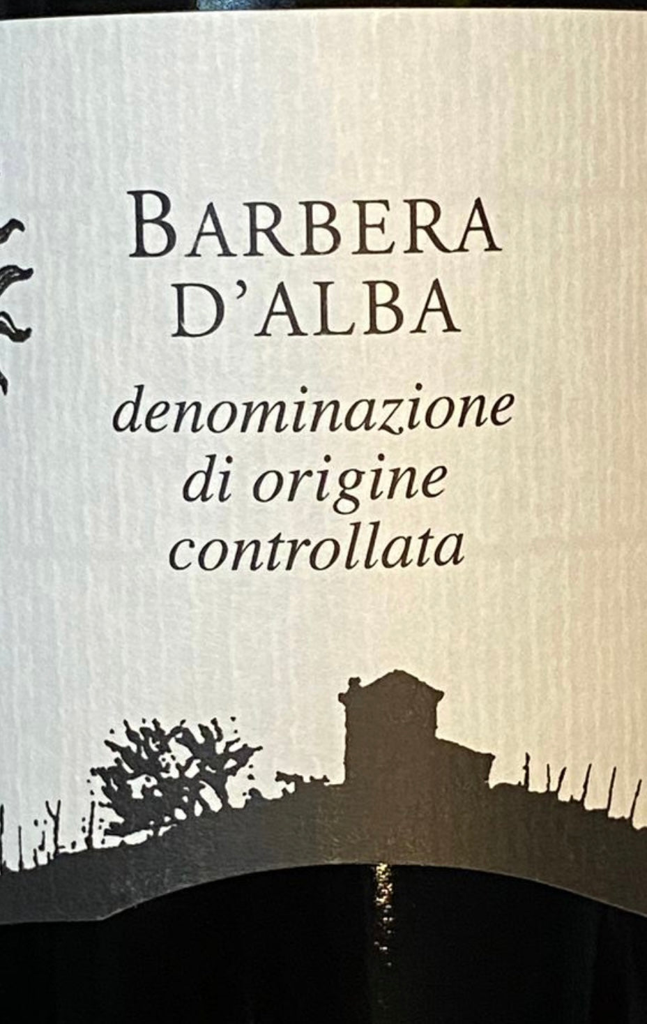 Ridaroca Barbera D'Alba 2024 d.o.c