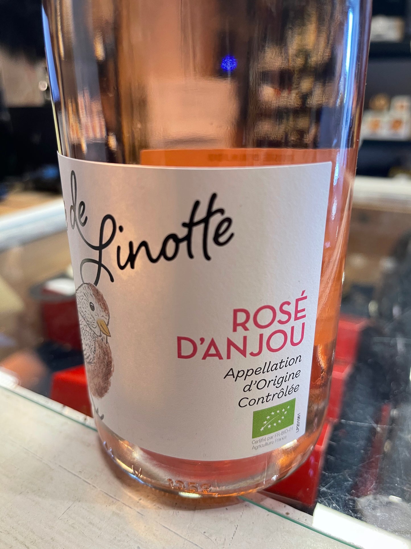 Tete de linotte Rose Anjou 2023