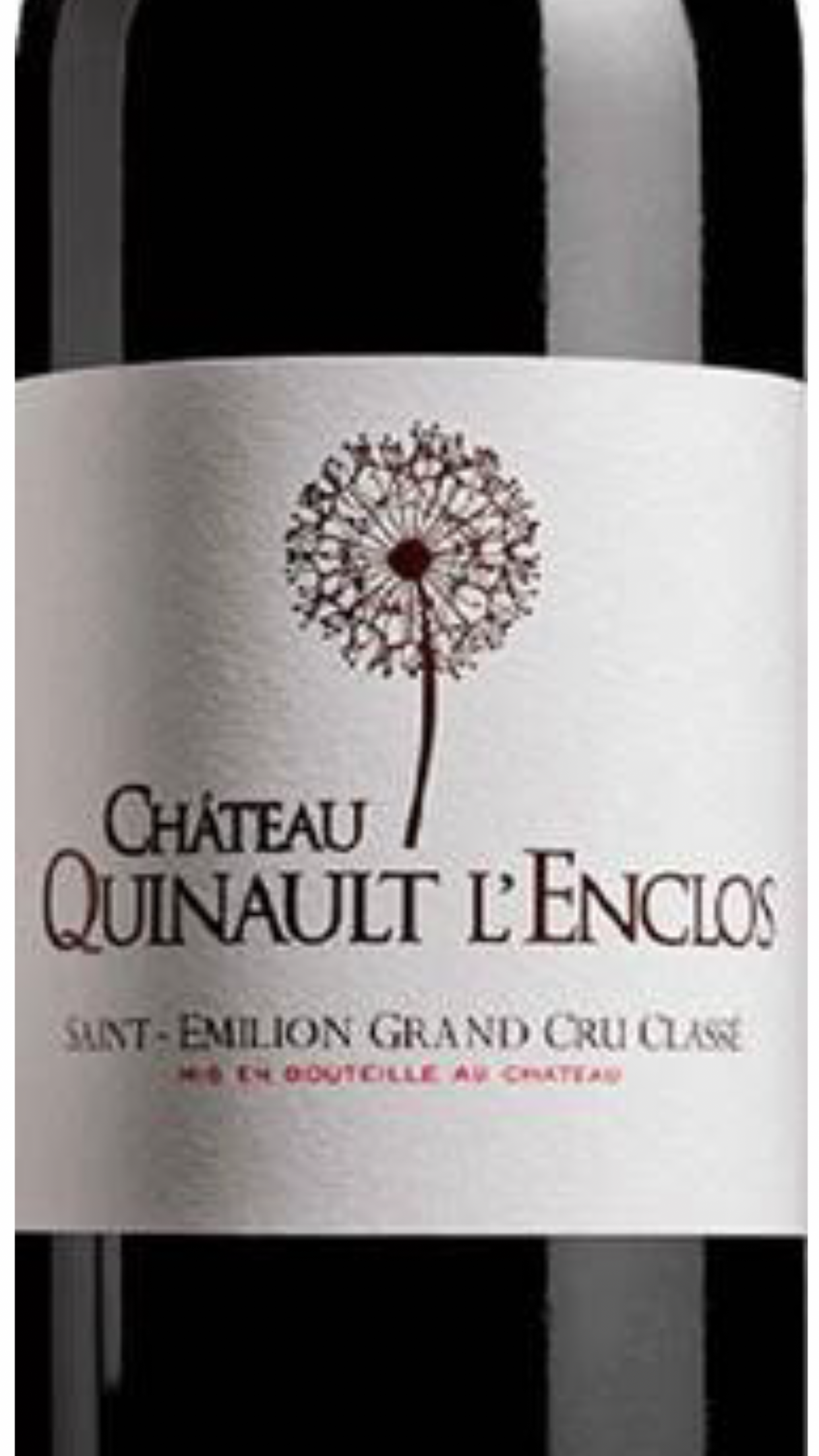 2019 Ch. Quinault l’Enclos MAGNUM