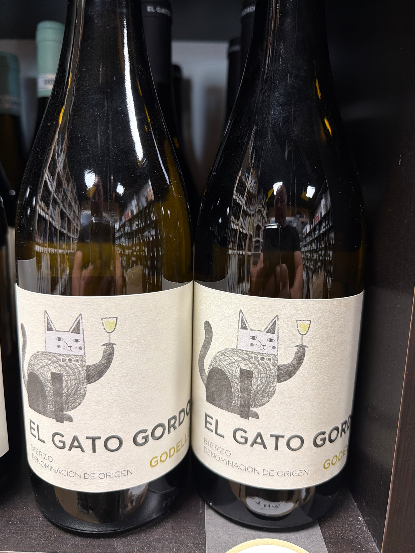 El Gato Gordo Codello 2025