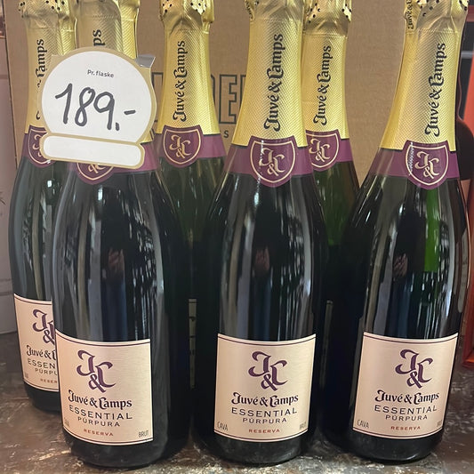 Juvé & Camps essential Reserva Cava